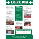 Stewart Superior HS101 Screw Laminated Poster - First Aid-What You Should Know! HS101