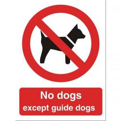Cheap Stationery Supply of Stewart Superior P091SAV Self-Adhesive Vinyl Sign (150x200mm) - No Dogs Except Guide Dogs P091SAV Office Statationery