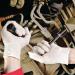 Shield Powder-Free Latex Gloves Small Natural (100 Pack) GD05 HEA00396