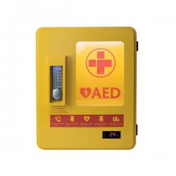 Cheap Stationery Supply of AED Alarmed Outdoor Wall Mountable Heated Metal Cabinet Yellow 2105 HS99910 Office Statationery